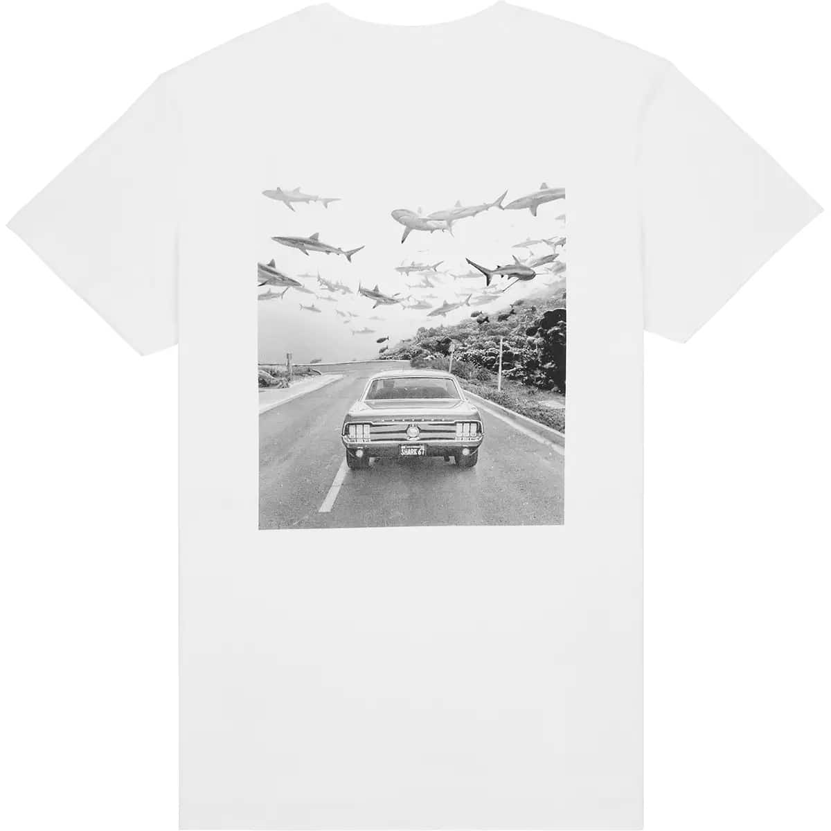 TEE SHARK - gallery